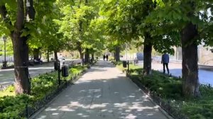 ОДЕССА 17 МАЯ 2026.  1 000$ В ДЕНЬ ШТУРМОВИКАМ! КОТЛЕТА ПРО КУМА (Иностранное мнение) Препод От Бога