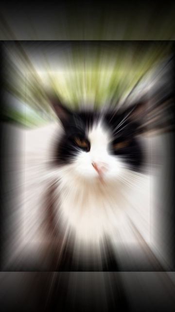 Видео со мной