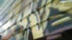 Rasko