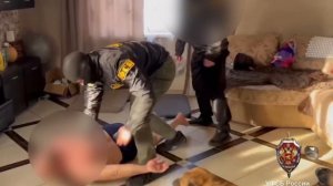 В Смоленской области УФСБ пресекло незаконную вырубку леса в особо крупном размере