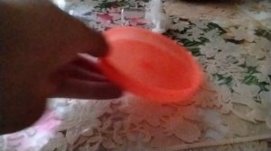 первые муравьи