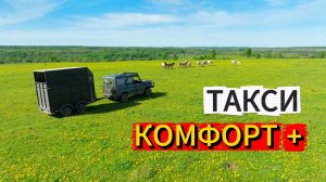 А-ФРЕЙМ ДЛЯ ВАС | ДОСТАВИЛ ЖЕРЕБЦОВ | УДАЛИЛ КОМАРОВ