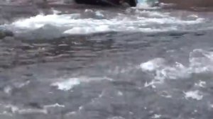 невероятные случаи на дороге