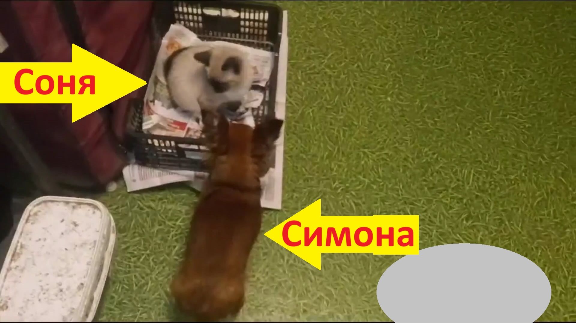 Ссора из-за ящика