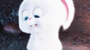 animation.gif
