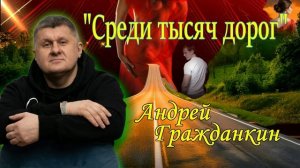 Андрей Гражданкин - Среди тысяч дорог