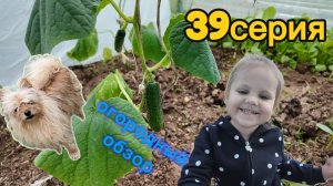 39серия/ просто ходим/ просто смотрим/ 16.05.26
