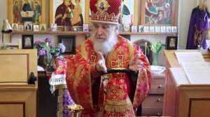 Проповедь епископа Амвросия (Тимрота) в неделю 6-ю по Пасхе, 17 мая 2026