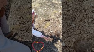 В лучах весенних. Татьяна  Ярош-Агапитова. Прогулка  в Первомайском парке, Благовещенск  2026г.4mp