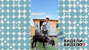Осел, козел и потоп. Видели видео? Фрагмент выпуска от 17.05.2026