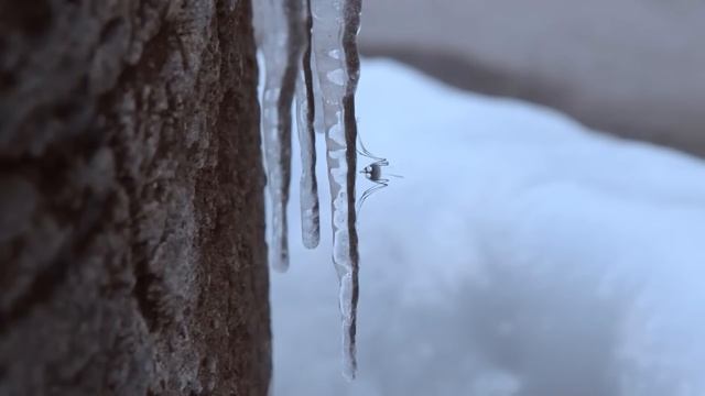 23. Чудовище из заколдованного болота. Миниатюрная подборка 🍃 (25 минут).