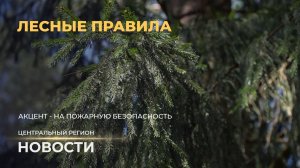 Новости. Центральный регион. 17.05.2026