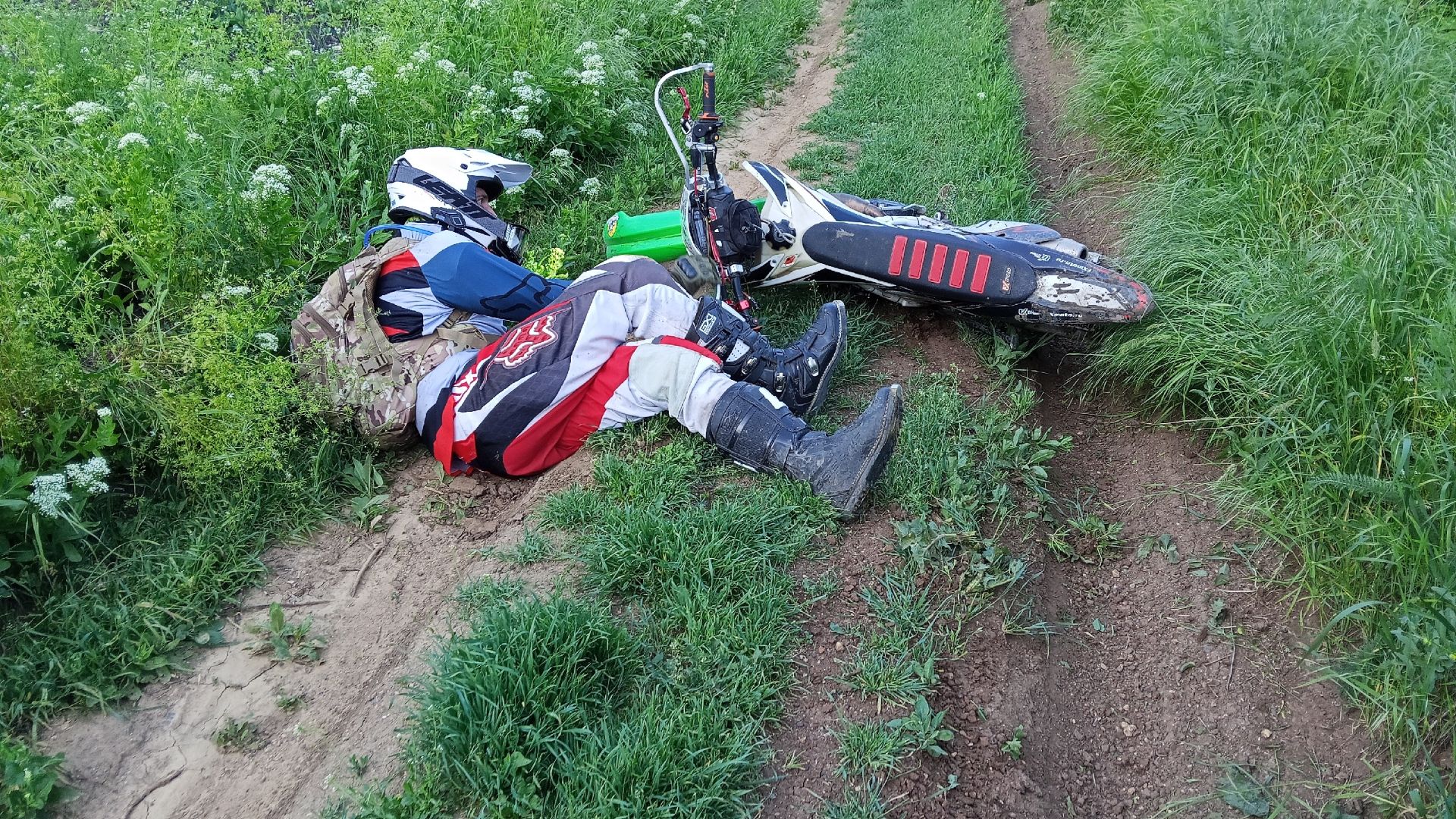 Слоноводы+Эндуристы