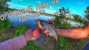 ЛОВЛЯ ЛЕЩА НА ПОПЛАВОК! КАМЕРА В ВОДЕ 🙈! ВОТ ЭТО МЫ ПОРЫБАЧИЛИ!