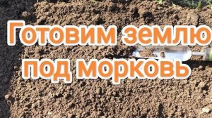 Как подготовить грядку для моркови: перекопка, удобрения, разрыхление, кислотность