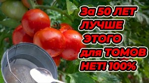 Почему ваши томаты бледные и слабые Первая подкормка через 10 дней спасает все