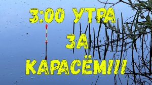 Сезон крупного карася который ломает удочки