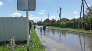 SOS из Виноградного