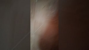 1000005722.mp4