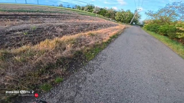 Даже сама природа хейтит самокатчиков