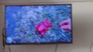 17-05-2026