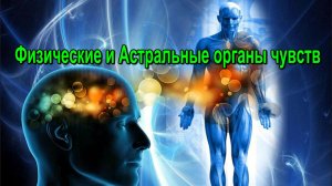 Астрал. Физические и Астральные органы чувств ✅ - обсуждаем!