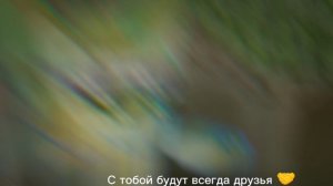 Эдит на день рождение (которое было 3 мая) Жёлтого фенека!!! 🥳🥳🥳