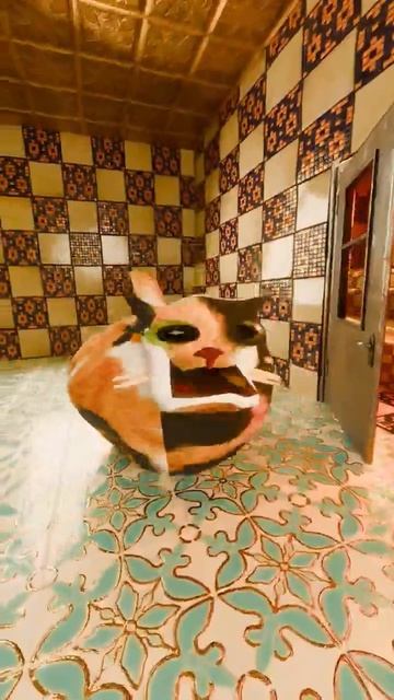 котость
