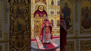 Проповедь в неделю о слепом. Иерей Владимир Плотников.