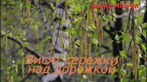 Лия и Дмитрий Лекомцевы Висят серёжки