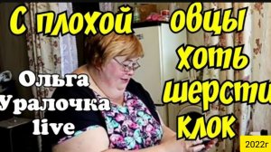 Ольга Уралочка live _С плохой овцы хоть шерсти клок _Обзор Влогов _