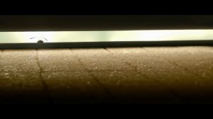 303. Minuscule Valley of the Lost Ants - The Sugar Box (Excerpt)