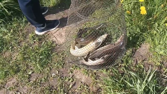 VID_20260517_090640_924