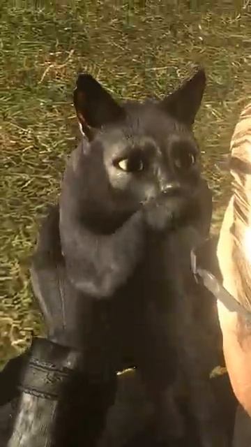 wesker vs cats