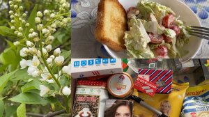 Во всем виновата она☝️ Мой «А-ля Цезарь»😋 Распаковочка🛒