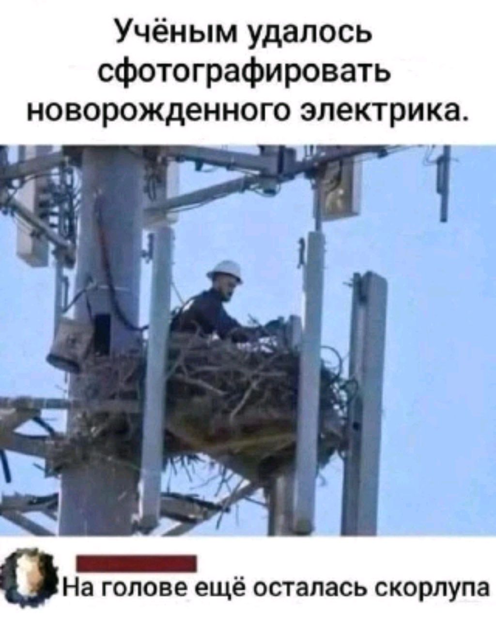 бх смотреть онлайн