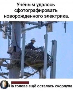 бх