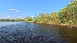 По реке Водле 17.05.26.