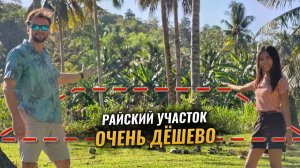 ИСХОД РУССКОЯЗЫЧНЫХ МУЖИКОВ В ДЖУНГЛИ. Мы наконец купили землю на Филиппинах!