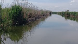 Голоса кубанской природы. Релакс . 17.05.2026г.