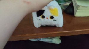 Обзор на котика Мурзика