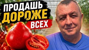 Искать новые сорта томатов бесполезно почему рынок требует только ЭТОТ гибрид [get.gt]