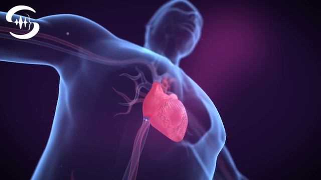 Высокое кровяное давление нормализуйте кровяное давление с помощью частот Райфа