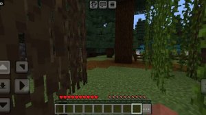 самая короткая видео 5# minecraft