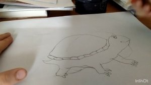 Как нарисовать черепашку🐢