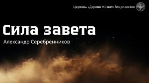 17.05.2026 Владивосток «СИЛА ЗАВЕТА «- Серебренников Александр