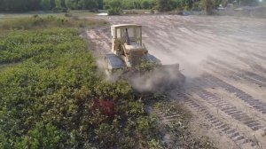 Unbelievable !! Power CATERPILLAR DOZER pushing old the hut and Clearing forest big land