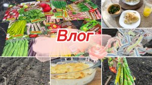 Влог, еще посевы, наготовила
