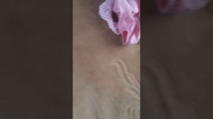 217684.mp4