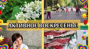 17-05-2026 Активное утро💃Покупки с ВБ🛒 Злюсь сама на себя🤦Магазин Хомяк🌺 Купила цветы👍